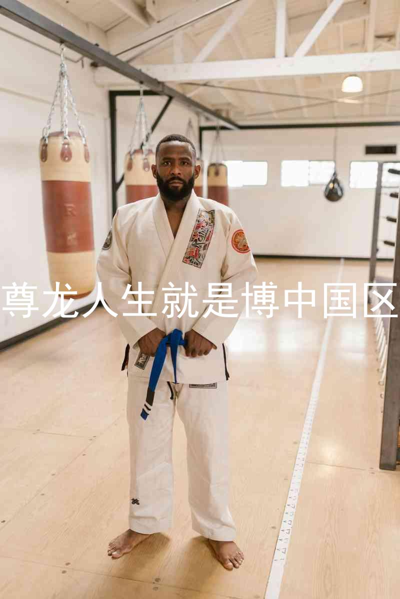 尊龙人生就是博中国区