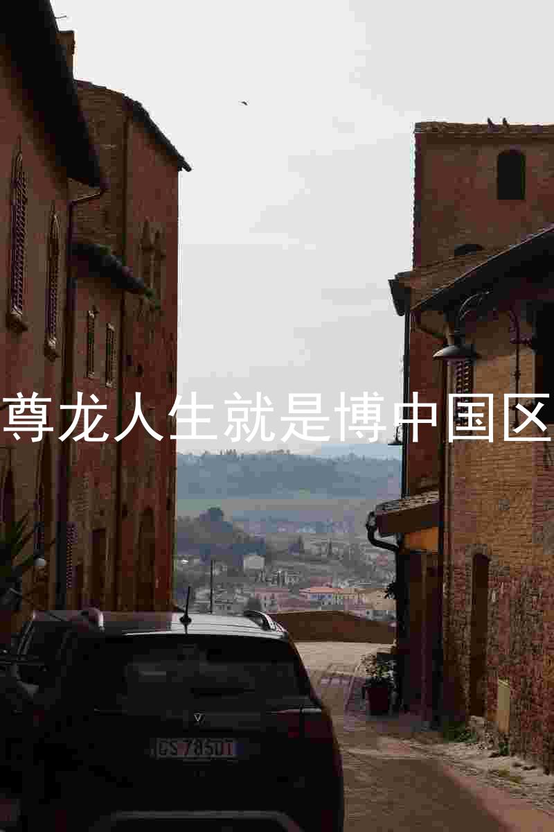尊龙人生就是博中国区