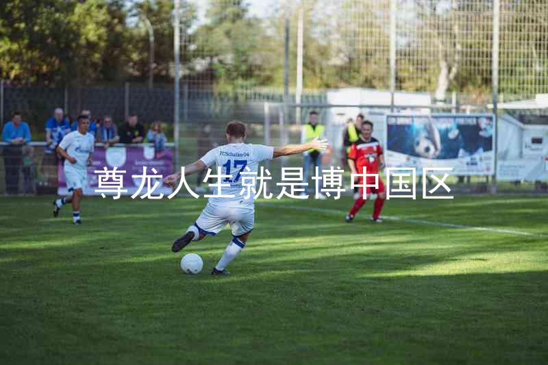尊龙人生就是博中国区
