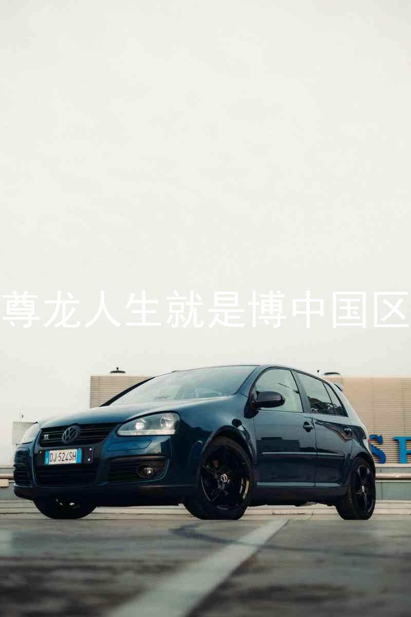 尊龙人生就是博中国区