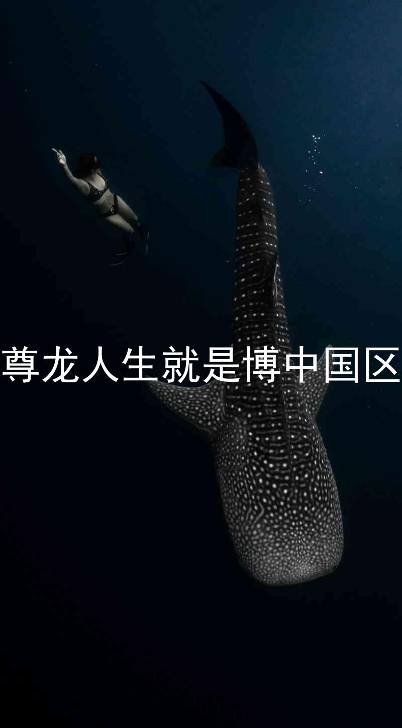 尊龙人生就是博中国区