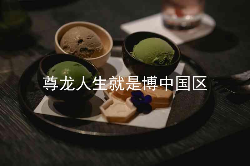 尊龙人生就是博中国区