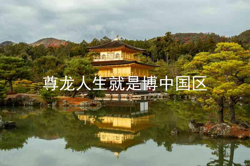 尊龙人生就是博中国区