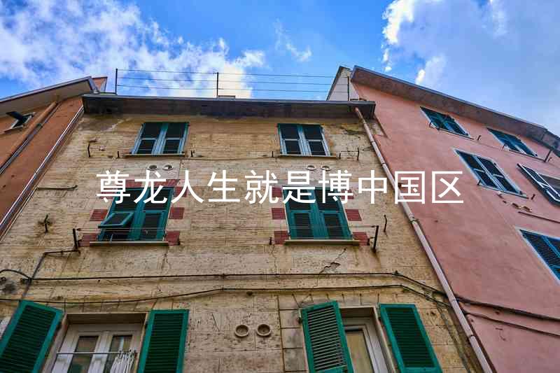 尊龙人生就是博中国区