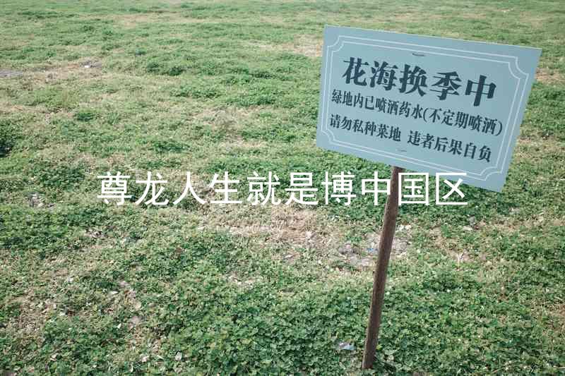 尊龙人生就是博中国区