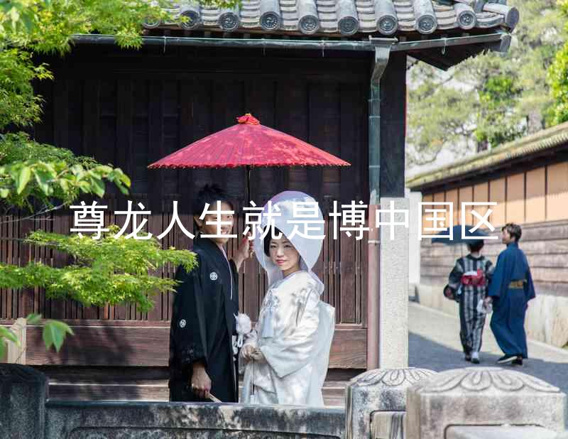 尊龙人生就是博中国区